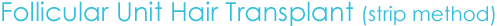 Follicular Unit Hair Transplant Follicular Unit Hair Transplant